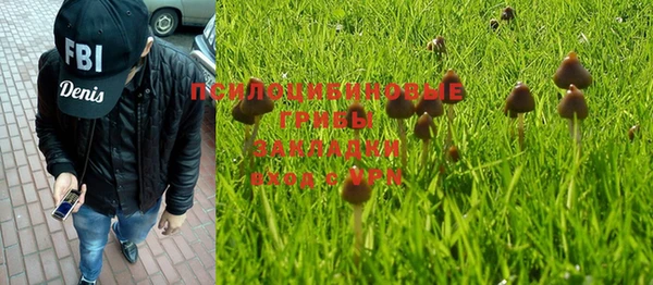 крисы Балабаново