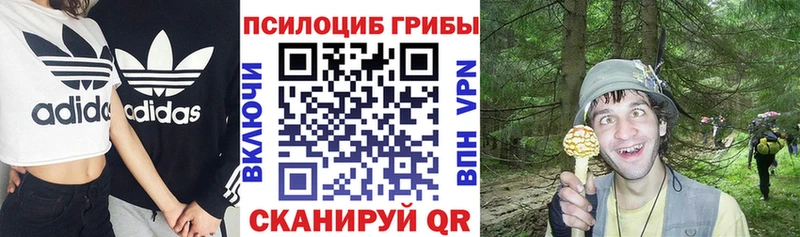 Псилоцибиновые грибы Psilocybe  Петухово 