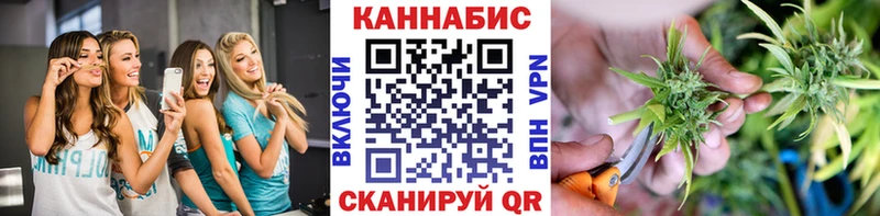 где купить наркотик  Петухово  Шишки марихуана индика 
